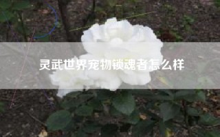 灵武世界宠物锁魂者怎么样