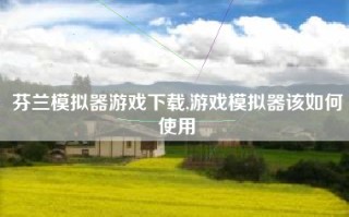 芬兰模拟器游戏下载,游戏模拟器该如何使用