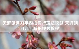 天涯明月刀手游拍卖行玩法攻略(天涯明月刀手游拍视频教程)