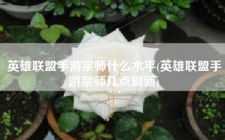 英雄联盟手游宗师什么水平(英雄联盟手游宗师几点刷新)
