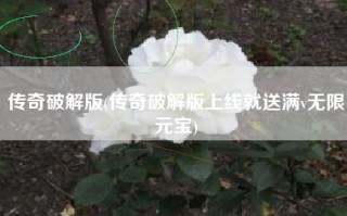 传奇破解版(传奇破解版上线就送满v无限元宝)