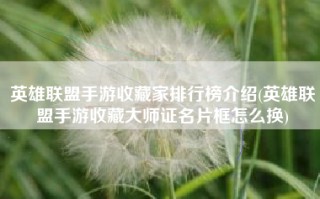 英雄联盟手游收藏家排行榜介绍(英雄联盟手游收藏大师证名片框怎么换)
