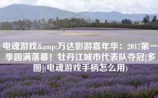 电魂游戏&万达影游嘉年华：2017第一季圆满落幕！牡丹江城市代表队夺冠[多图](电魂游戏手柄怎么用)