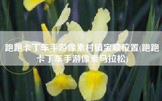 跑跑卡丁车手游像素村镇宝藏位置(跑跑卡丁车手游像素马拉松)