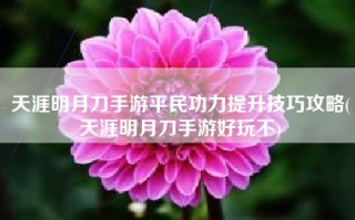 天涯明月刀手游平民功力提升技巧攻略(天涯明月刀手游好玩不)