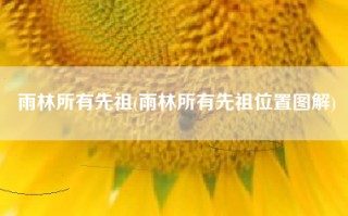雨林所有先祖(雨林所有先祖位置图解)