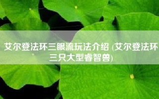 艾尔登法环三眼流玩法介绍 (艾尔登法环三只大型睿智兽)