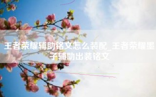 王者荣耀辅助铭文怎么装配_王者荣耀墨子辅助出装铭文