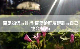 百鬼物语ssr排行(百鬼给好友砸到ssr自己也会有吗)