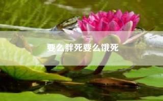 要么胖死要么饿死