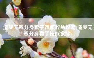 造梦无双分身猴子改版收益攻略(造梦无双分身猴子技能觉醒)