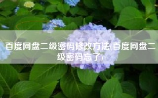 百度网盘二级密码修改方法(百度网盘二级密码忘了)