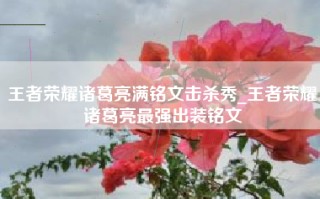 王者荣耀诸葛亮满铭文击杀秀_王者荣耀诸葛亮最强出装铭文