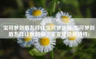 宝可梦剑盾怎样让宝可梦跟随(宝可梦剑盾怎样让我的御三家变成隐藏特性)