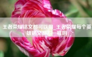 王者荣耀铭文都可以用_王者荣耀每个英雄铭文都不一样吗
