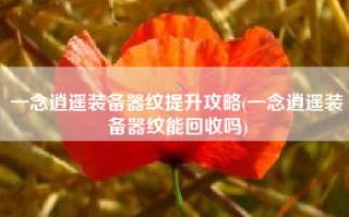 一念逍遥装备器纹提升攻略(一念逍遥装备器纹能回收吗)