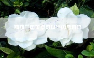 萌萌三国董卓可以当肉盾用吗
