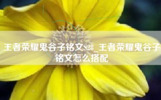 王者荣耀鬼谷子铭文S28_王者荣耀鬼谷子铭文怎么搭配