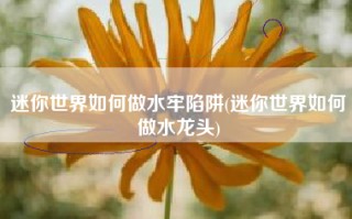 迷你世界如何做水牢陷阱(迷你世界如何做水龙头)