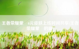 王者荣耀蒙犽6元皮肤上线时间共享(王者荣耀蒙犽的脚)