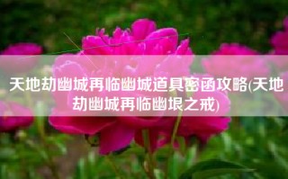 天地劫幽城再临幽城道具密函攻略(天地劫幽城再临幽垠之戒)