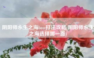 阴阳师永生之海boss打法攻略(阴阳师永生之海选择哪一面)