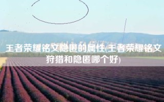 王者荣耀铭文隐匿的属性(王者荣耀铭文狩猎和隐匿哪个好)