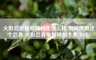 火影忍者角都晓创生怎么样 如何使用这个忍者(火影忍者角都晓创生多少钱)