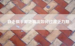 自走棋手游地精流如何过渡乏力期