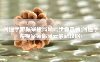 问道手游探案镖局风云步骤最新(问道手游探案镖局风云最新攻略)