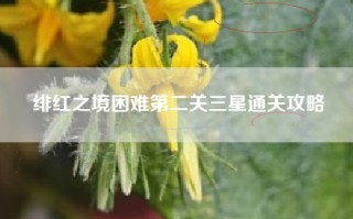 绯红之境困难第二关三星通关攻略