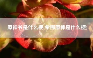 原神爷是什么梗(希娜原神是什么梗)
