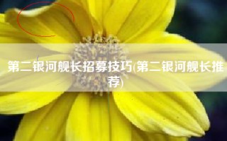 第二银河舰长招募技巧(第二银河舰长推荐)