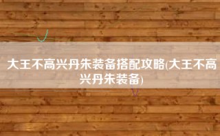 大王不高兴丹朱装备搭配攻略(大王不高兴丹朱装备)