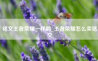 铭文王者荣耀一样的_王者荣耀怎么卖铭文