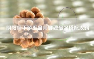 阴阳师手游巫蛊师御魂最强搭配攻略