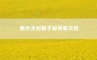 黑色未知新手躲弹幕攻略