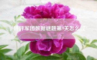 砰砰军团数据谜题第9关怎么过