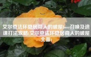 艾尔登法环隐居商人的破屋boss召唤及逃课打法攻略(艾尔登法环隐居商人的破屋北面)