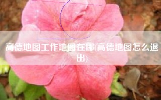 高德地图工作地图在哪(高德地图怎么退出)