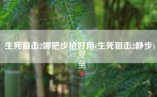 生死狙击2哪把步枪好用(生死狙击2静步)