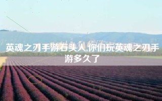 英魂之刃手游石头人,你们玩英魂之刃手游多久了