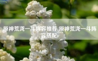 原神荒泷一斗阵容推荐(原神荒泷一斗阵容搭配)