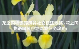 龙之国物语暖风谷社交玩法攻略 (龙之国物语暖风谷地隐藏任务攻略)