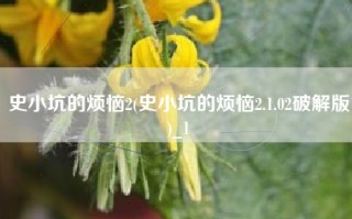 史小坑的烦恼2(史小坑的烦恼2.1.02破解版)_1