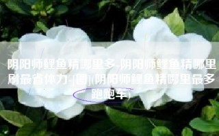 阴阳师鲤鱼精哪里多-阴阳师鲤鱼精哪里刷最省体力-[图](阴阳师鲤鱼精哪里最多跑跑车)