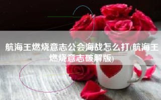 航海王燃烧意志公会海战怎么打(航海王燃烧意志破解版)