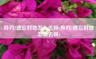 异刃2遗忘封地怎么去呀(异刃2遗忘封地怎么去呀)
