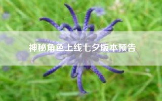 神秘角色上线七夕版本预告