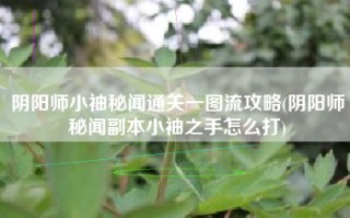 阴阳师小袖秘闻通关一图流攻略(阴阳师秘闻副本小袖之手怎么打)